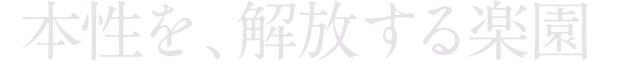 ラグジュアリーな異空間